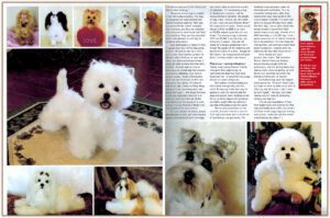 Dogs Today Magazine Dogs Today magazine article continuation.