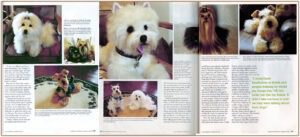 Teddy Bear Review Teddy Bear Review article about Tammy and her dog memorials.