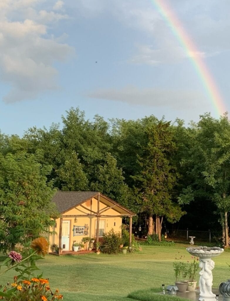 TammyBears work studio nestled in the tree with rainbow in the sky.
